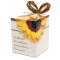Sonnenblumendose - Topgiving